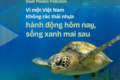 BÀI TUYÊN TRUYỀN HƯỞNG ỨNG NGÀY MÔI TRƯỜNG THẾ GIỚI 2025